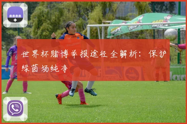 世界杯赌博举报途径全解析:保护绿茵场纯净