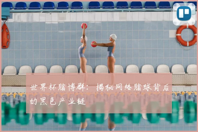 世界杯赌博群:揭秘网络赌球背后的黑色产业链