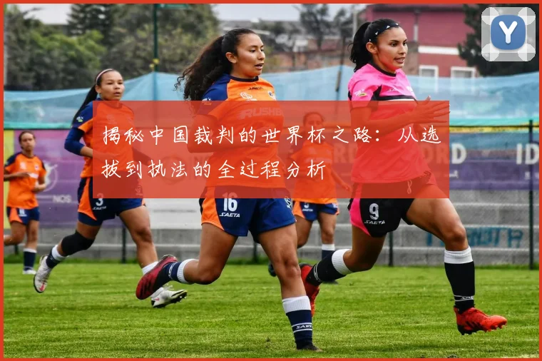 揭秘中国裁判的世界杯之路：从选拔到执法的全过程分析