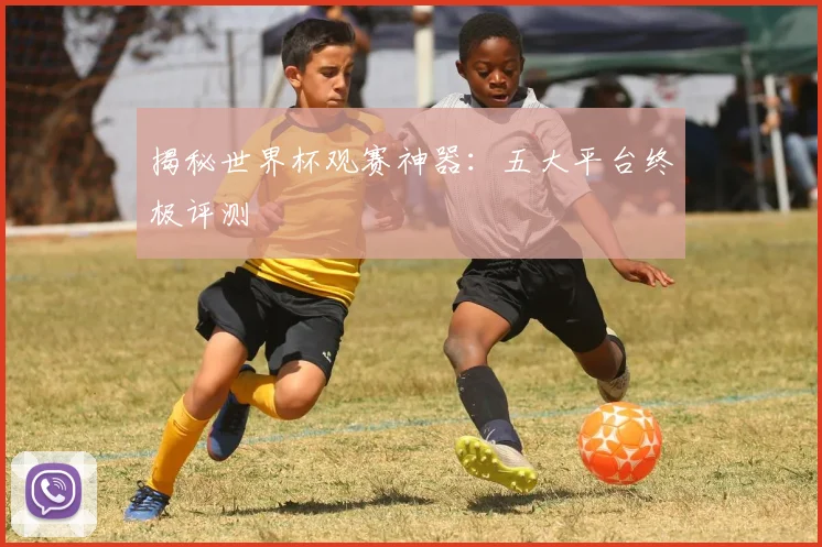 揭秘世界杯观赛神器:五大平台终极评测