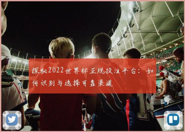 探秘2022世界杯正规投注平台：如何识别与选择可靠渠道