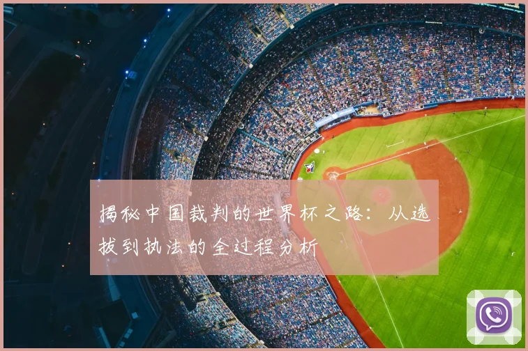 揭秘中国裁判的世界杯之路：从选拔到执法的全过程分析