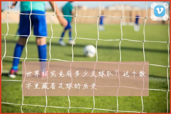 世界杯究竟有多少支球队?这个数字里藏着足球的历史