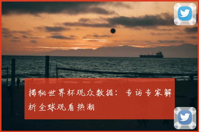 揭秘世界杯观众数据:专访专家解析全球观看热潮